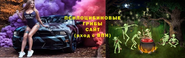 гашик Богданович